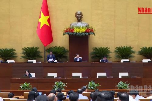 [Video] Trình Quốc hội tăng 50% mức phạt hành chính tối đa