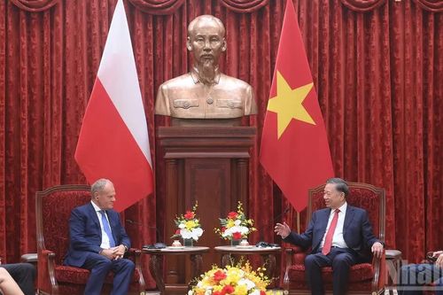[Ảnh] Tổng Bí thư, Chủ tịch nước Tô Lâm tiếp Thủ tướng Ba Lan Donald Tusk
