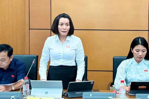 Phân hóa mức phạt vi phạm hành chính, bảo đảm tính khả thi