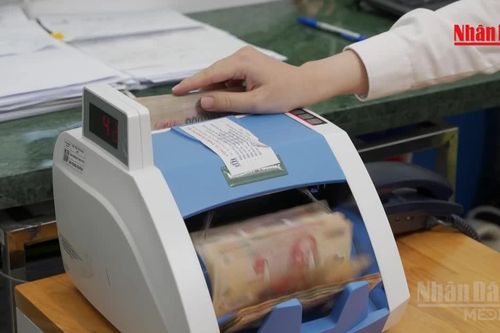 [Video] Lãi suất tiết kiệm giảm, lãi vay bình quân gần 11%/năm