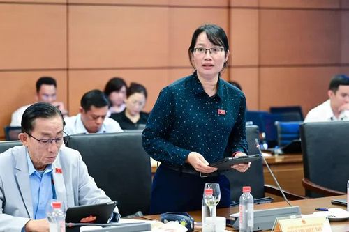 Mức phạt vi phạm hành chính phải đủ sức răn đe, không thành gánh nặng
