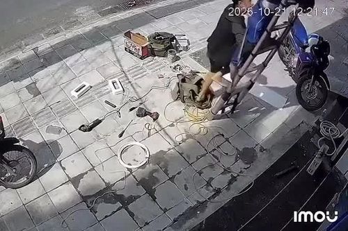 Thợ điện nhanh trí cứu đồng nghiệp thoát chết sau tiếng hét thất thanh