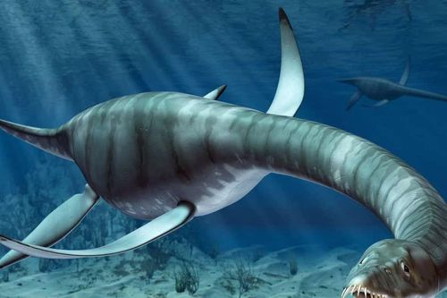 Phân tích DNA hồ Loch Ness hé lộ điều gì về sinh vật bí ẩn?