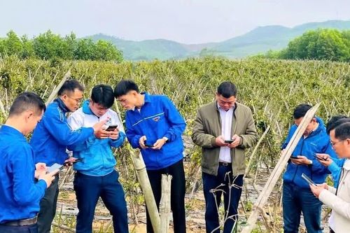 Chuyển đổi số ở các bản làng có thể bắt đầu từ một việc mà bà con đang cần