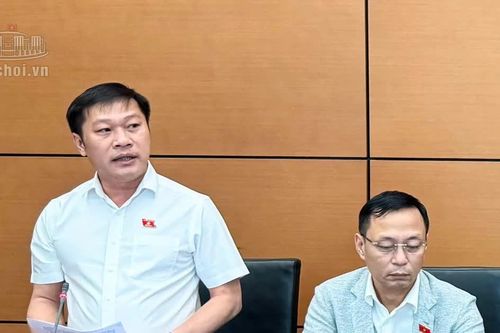 Đại biểu đề nghị không tăng thời hiệu xử phạt trong lĩnh vực giao thông