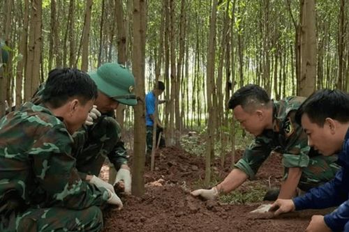 Từ tấm bia đá đến hành trình tìm tên cho 20 liệt sĩ