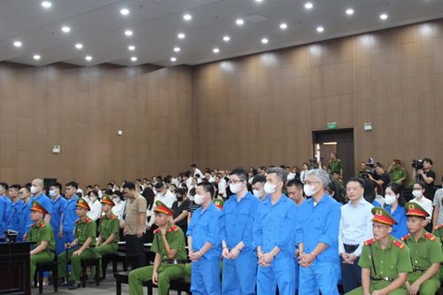 Gần 200 luật sư cùng hàng trăm bị hại và người liên quan tham gia phiên tòa xét xử Mr Pips