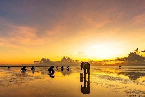 Biển vô cực Hưng Yên: Từ điểm ngắm bình minh đến tiềm năng du lịch sinh thái