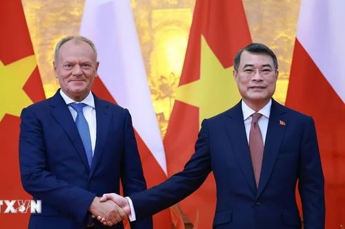 Thủ tướng Lê Minh Hưng và Thủ tướng Ba Lan Donald Tusk hội đàm