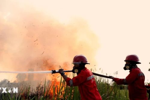 Cháy rừng đe dọa di sản tranh hang động cổ nhất thế giới tại Indonesia