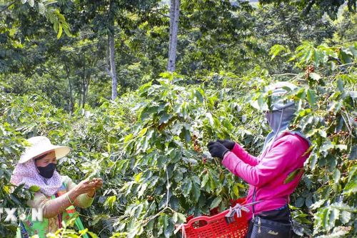 Điện Biên mở rộng hợp tác xuyên biên giới, tạo động lực tăng trưởng