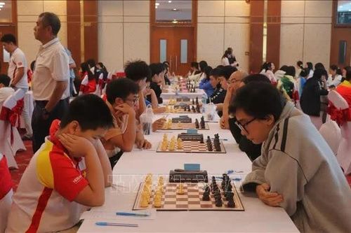 312 kỳ thủ tranh tài tại Giải vô địch cờ vua, cờ vây quốc gia năm 2026