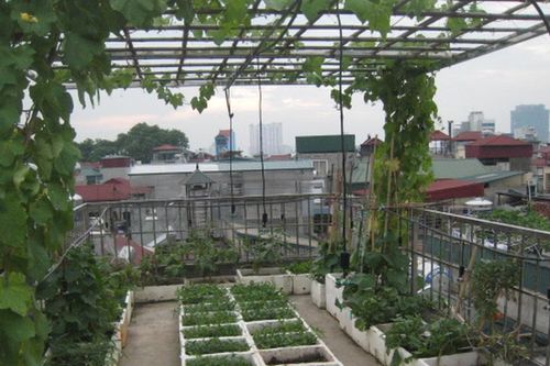 Những câu chuyện nhặt trên phố