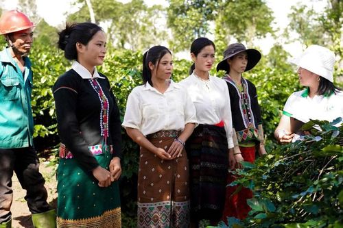 'Bà đỡ' giúp đồng bào vùng cao Quảng Trị thoát nghèo