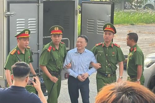 Shark Bình tươi cười đến tòa, Mr Pips xuất hiện với diện mạo khác trước