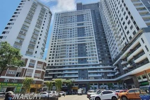 Công ty bất động sản dành hơn nửa tài sản để đầu tư chứng khoán, tạm lãi hơn 100 tỷ với VHM