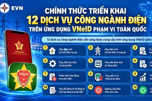 Hướng dẫn cách đăng ký 12 dịch vụ điện trên VNeID