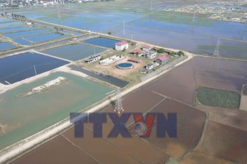 Dự án xử lý nước thải gần 400 tỷ đồng bỏ hoang nhiều năm
