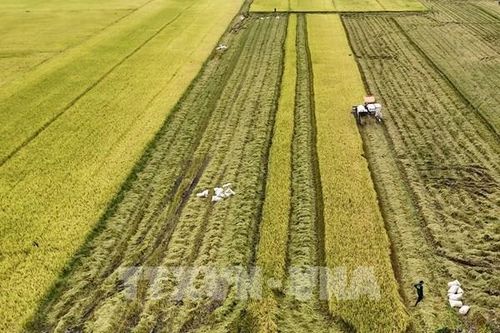 APEC 2027: Kết nối công nghệ, thúc đẩy nông nghiệp xanh