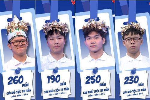 Học vấn của 4 'nhà leo núi' góp mặt ở Chung kết Đường lên đỉnh Olympia 2026
