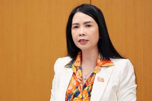 Dự án Luật Xử lý vi phạm hành chính (sửa đổi): Cần làm rõ căn cứ kéo dài thời hiệu xử phạt