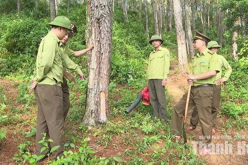 Chủ động phòng cháy, chữa cháy rừng mùa khô hanh