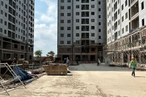 Cần có quy hoạch đất dành riêng cho mục đích phát triển nhà cho thuê