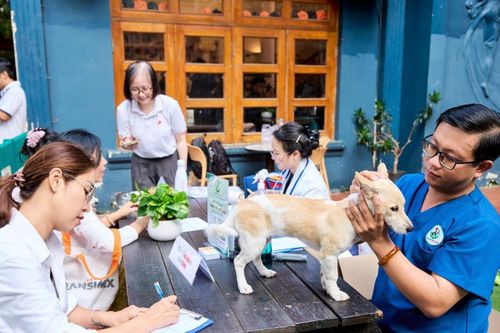 Công nghệ mở hướng cá nhân hóa dinh dưỡng cho thú cưng