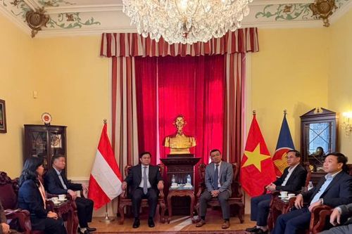 Phú Thọ kết nối hợp tác đào tạo và chuyển giao công nghệ với Áo
