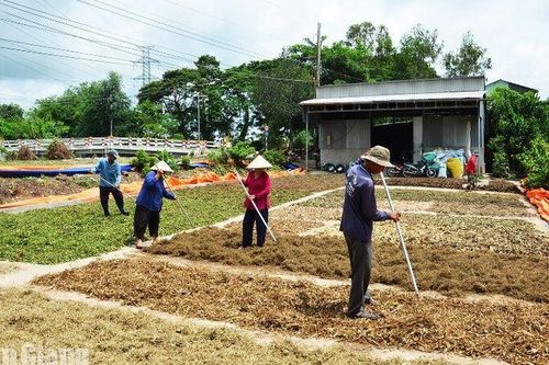 An Giang: Những tấm lòng thiện nguyện góp sức vì bệnh nhân nghèo