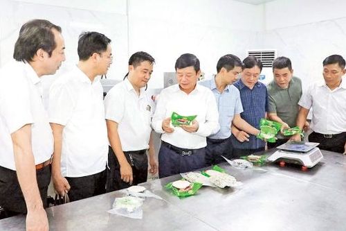 Phát triển kinh tế tập thể - cơ hội mới, thách thức lớn. Kỳ 1: Thay đổi thực chất, hiệu quả hơn