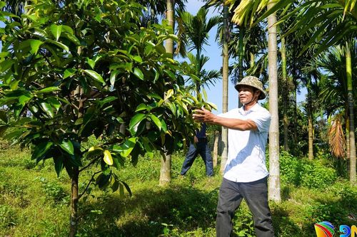 Đồng lòng dựng xây quê hương