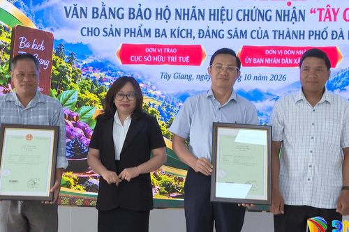 Mở rộng bảo hộ nhãn hiệu Ba kích và Đảng sâm Tây Giang