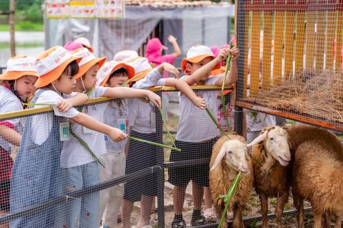 Nuôi dưỡng tình yêu thiên nhiên và tính tự lập cho trẻ từ những bài học thực tế tại Quảng Đà X-Camp