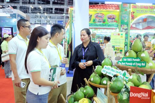 Hàng Việt liên kết xuất khẩu xanh