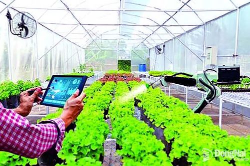 Cho vay vốn lĩnh vực ứng dụng công nghệ cao 7,2 ngàn tỷ đồng