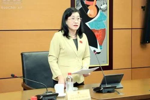 Đoàn Đại biểu Quốc hội tỉnh Đồng Tháp: Nêu cao tinh thần trách nhiệm, đóng góp hoàn thiện hệ sinh thái pháp lý số