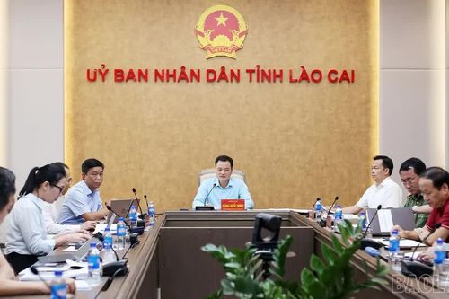 Lào Cai tập trung hoàn thiện công tác chuẩn bị Hội nghị xúc tiến đầu tư, thương mại lĩnh vực nông nghiệp năm 2026