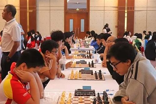 312 kỳ thủ tranh tài tại Giải vô địch cờ vua, cờ vây quốc gia năm 2026