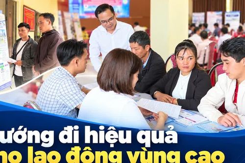Hướng đi hiệu quả cho lao động vùng cao