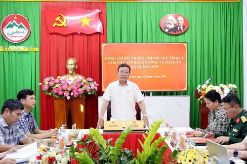 Xem xét xử lý hình sự hành vi phá rừng, lấn chiếm đất rừng tại xã Quảng Sơn
