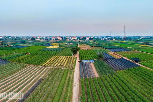 "Đánh thức" tiềm năng, nâng giá trị vùng đất bãi ven sông