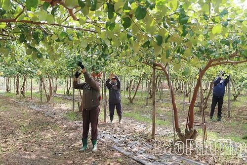 Tam Nông ứng dụng khoa học công nghệ vào sản xuất