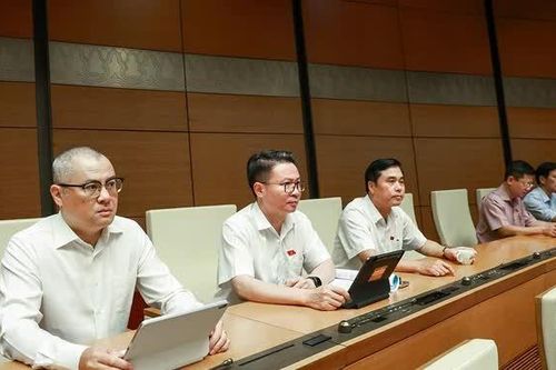 Đại biểu Quốc hội tỉnh thảo luận các dự án Luật về quản lý sử dụng vũ khí, vật liệu nổ, bảo vệ công trình quan trọng liên quan an ninh quốc gia