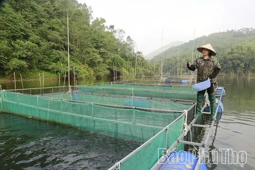 “Thảm đỏ” nơi đất Mẹ Âu Cơ