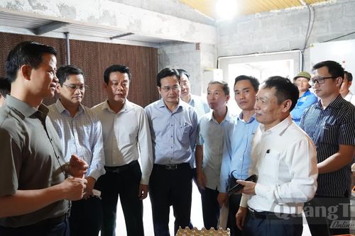 Đồng chí Bí thư Tỉnh ủy thăm một số mô hình sản xuất nông nghiệp công nghệ cao