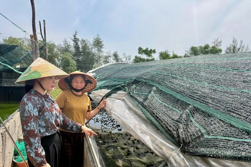 Sinh kế bền vững nhờ tín dụng chính sách