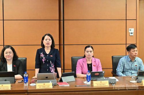 Đại biểu Quốc hội Tuyên Quang thảo luận về Luật Xử lý vi phạm hành chính (sửa đổi)