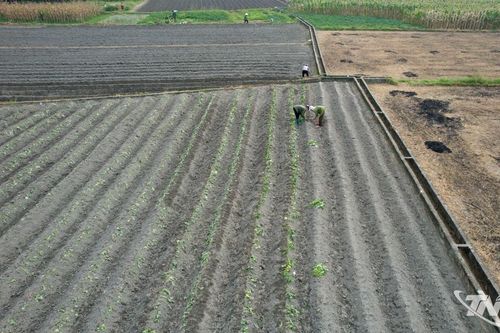 Vững vụ mùa, chắc vụ đông