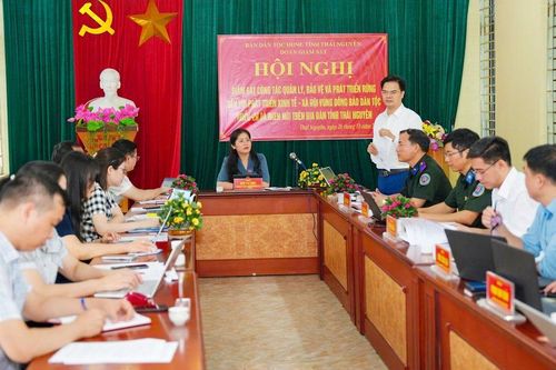 Nâng cao hiệu quả quản lý, phát triển rừng gắn với sinh kế người dân